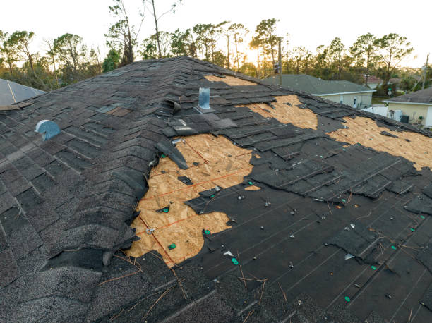 Fast & Reliable Emergency Roof Repairs in Vamo, FL